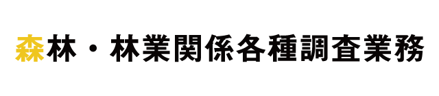 スキャドロン株式会社新着情報